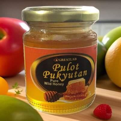 Pulot Pukyutan (Greatlab) Pure Wild Honey 120ml